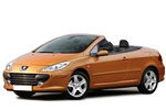 Автолампы для Пежо 307